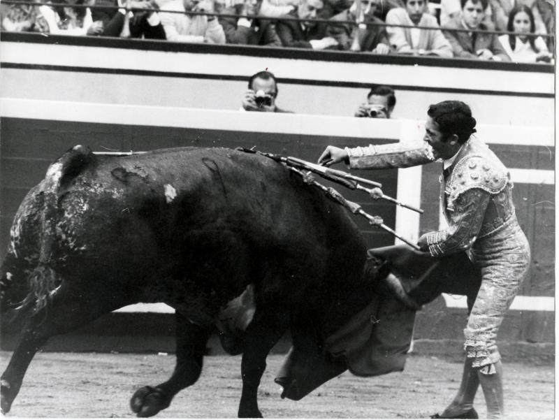 Paco Camino, entrando a matar a Campanito