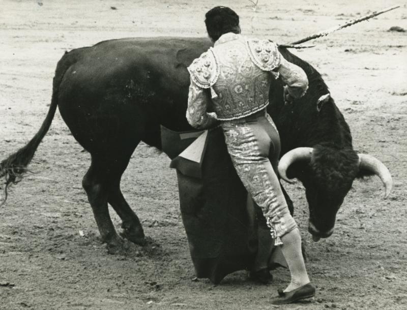 Uno de los precisos ayudados por bajo de Paco Camino al toro de Juan Pedro Domecq al que cortó las dos orejas