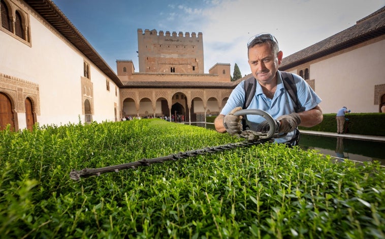 Imagen principal - Un operario podando en el patio de los Arrayanes, una instantánea del semillero y, en la foto de grupo, de izquierda a derecha, Javier Sánchez, Antonio Salido, Amelia Garrido y Cristóbal Romera, el jardinero más antiguo de la Alhambra. Trabaja allí desde hace 42 años.