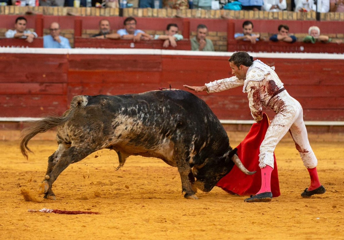 David de Miranda indultó al bravo Barba Verde, de José Luis Pereda