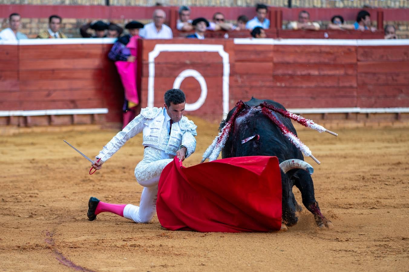 David de Miranda cuajó faenas premiadas con 7 orejas