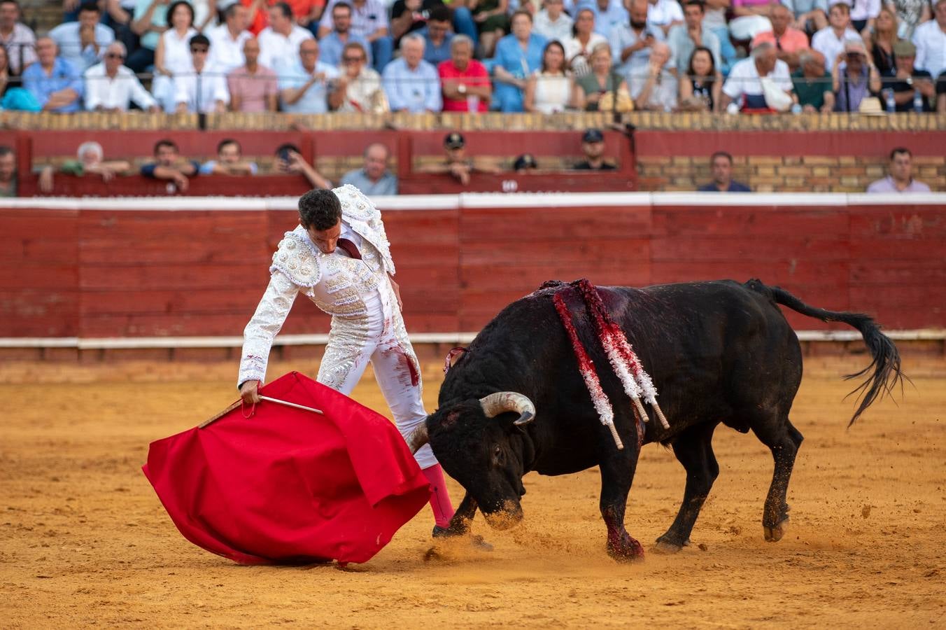 David de Miranda cuajó faenas premiadas con 7 orejas