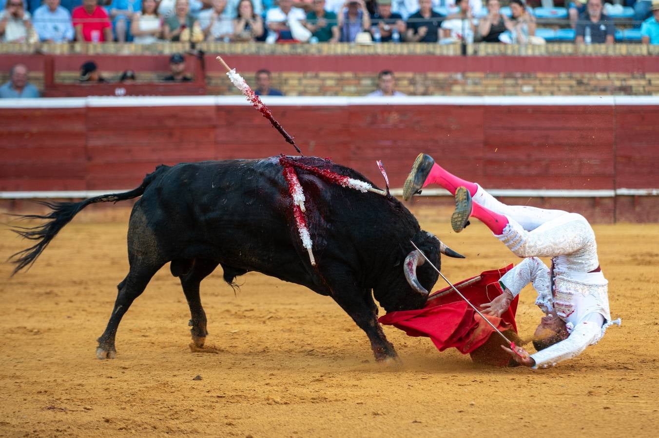 David de Miranda cuajó faenas premiadas con 7 orejas