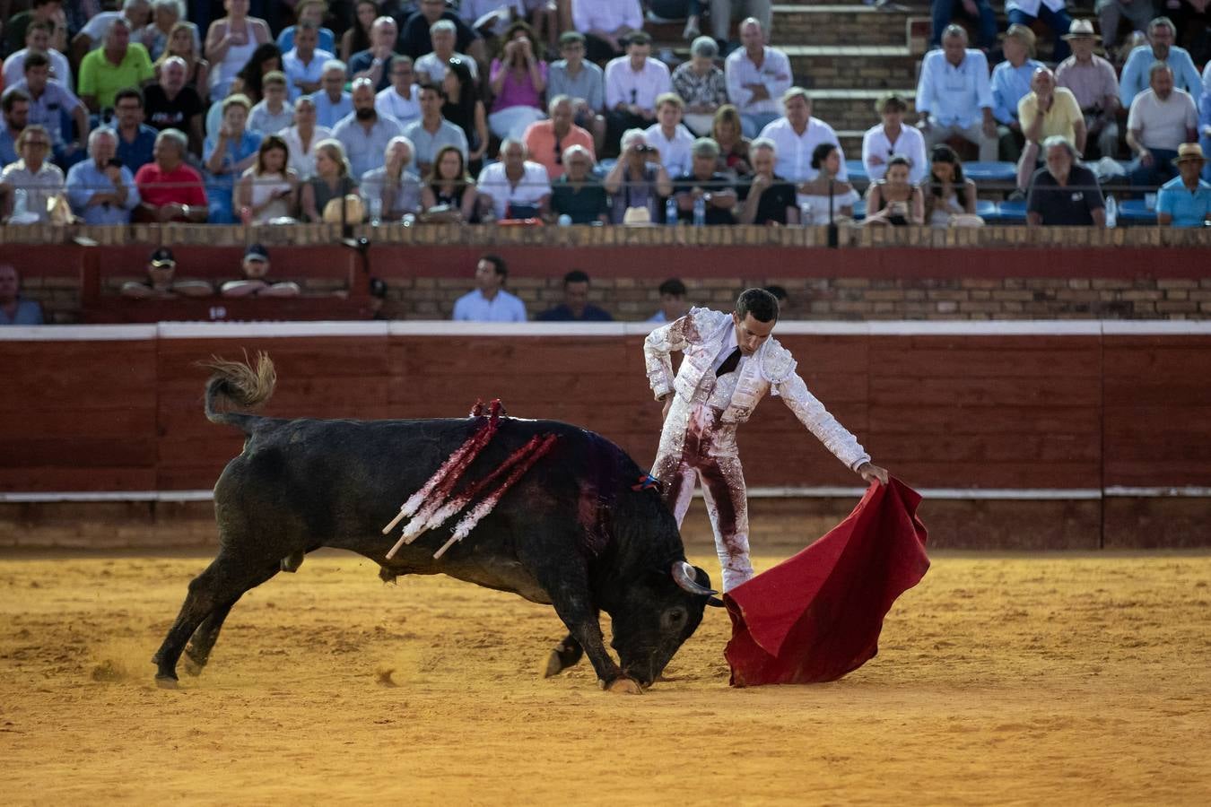 David de Miranda cuajó faenas premiadas con 7 orejas