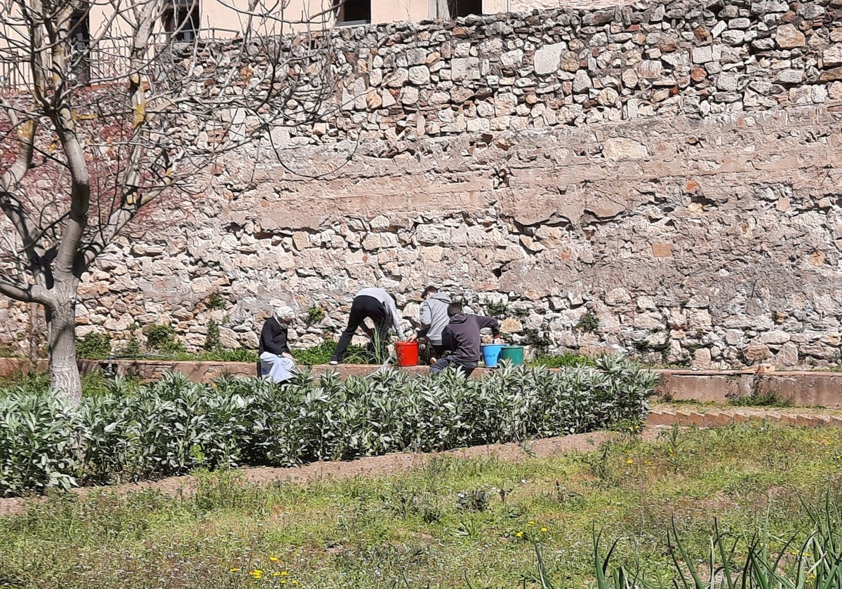 Un grupo de voluntarios ayuda a las monjas en el cuidado del huerto