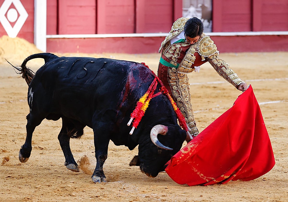 Extraordinario natural de Morante de la Puebla a Revirado, el segundo de Juan Pedro Domecq en Málaga