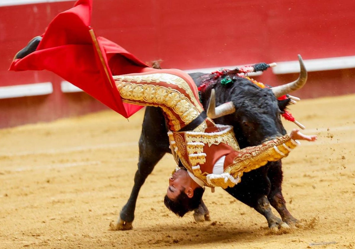 Miguel Ángel Perera sufrió una espeluznante voltereta con el primer toro