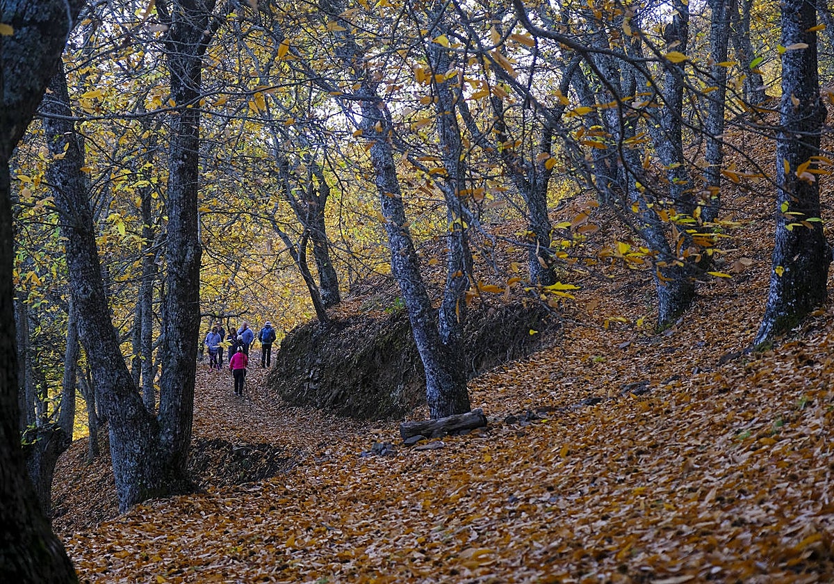 Termina el verano, comienza la vida