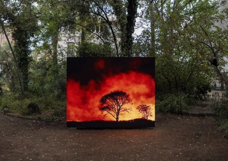 Imagen secundaria 1 - De arriba abajo, 'Para construir un jardín necesitamos de un trozo de tierra y la eternidad', de Enrique Ramírez en Casa Gomis; 'Nudo en la garganta', de Jonathas de Andrade, en el jardín del Museo de Ciencias Naturales en Granollers; 'Exudados', de Eva Fàbregas, en la cárcel de Mataró