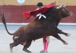 El viento y la espada se llevan el triunfo grande en Guadalajara