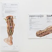 'Light', de Juan Zamora: Dibujar, pensar y ser bosque