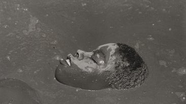 'Diversidad en la Colección del CAAC. La mirada fotográfica de Alberto García-Alix'