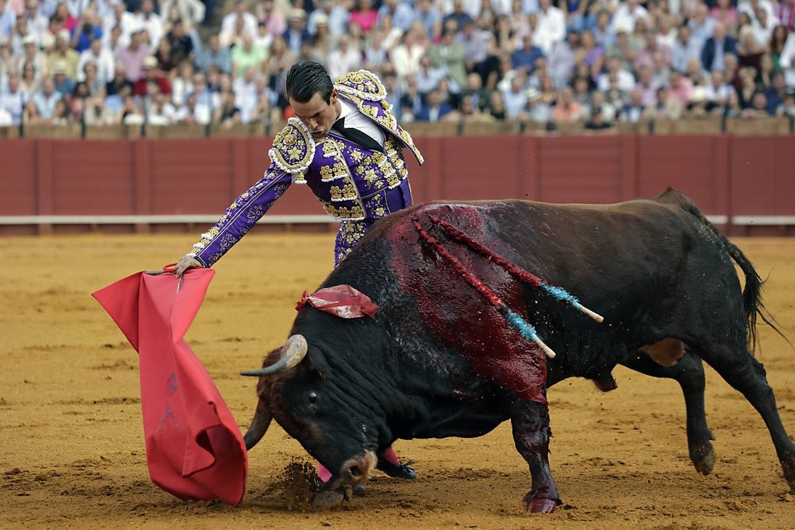José María Manzanares, en la segunda corrida de la Feria de San Miguel de Sevilla 2024