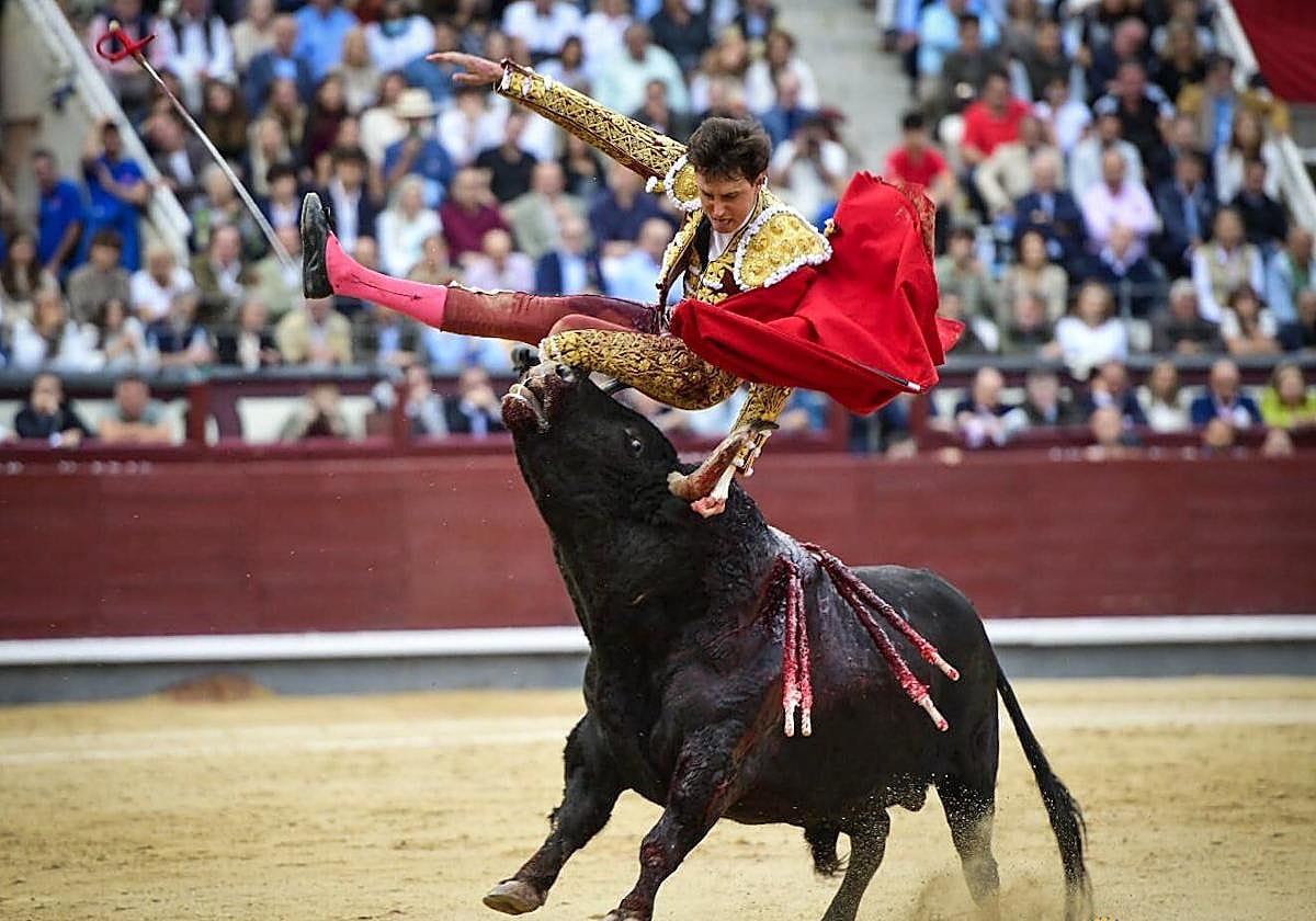 Fuerte cogida a Roca Rey en Las Ventas este domingo