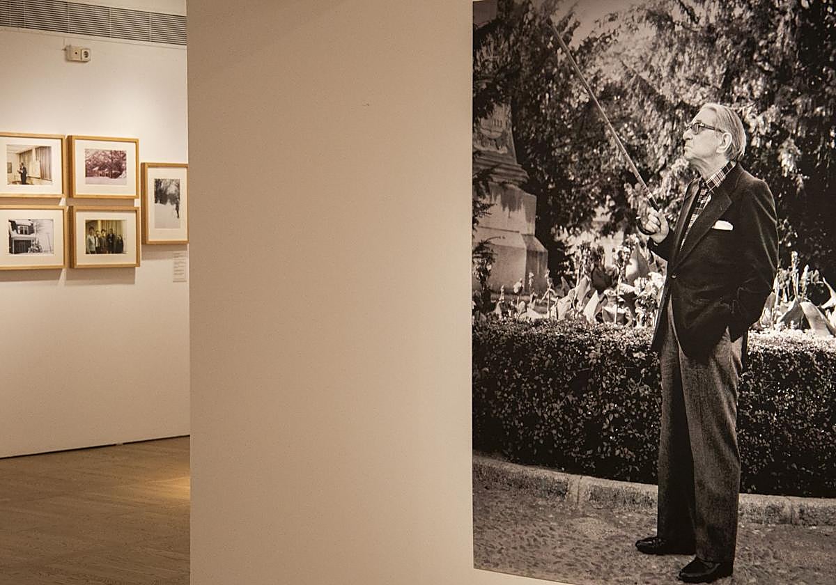Torrente Ballester, señalando el cielo con su bastón