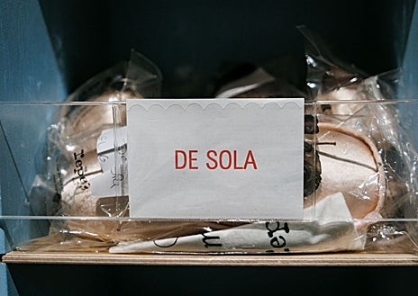 Imagen secundaria 1 - El tutú, las zapatillas de punta y la corona de Odette que llevará esta noche Sasha De Sola