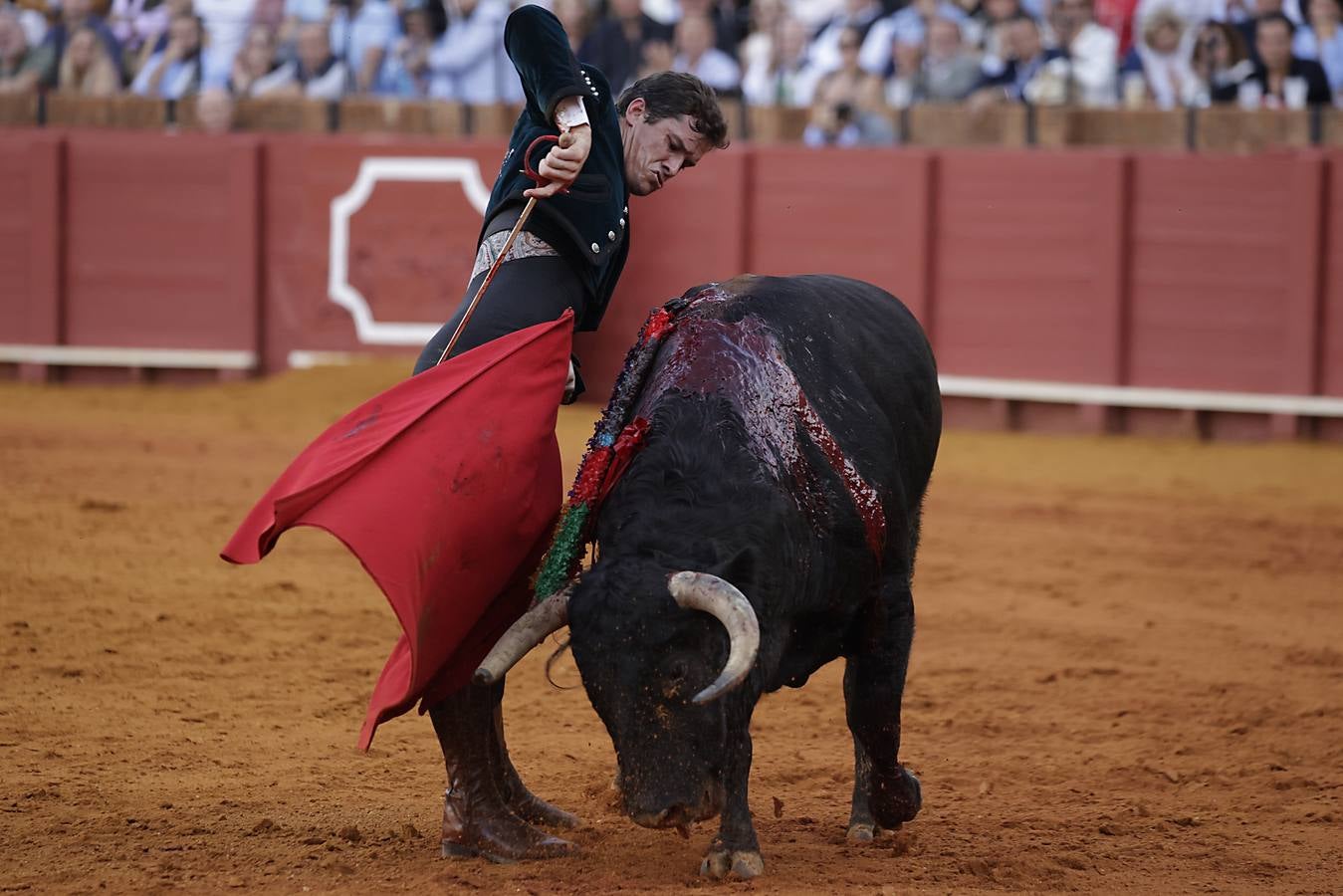 Imágenes del festival taurino a beneficio de Los Gitanos y que ha contado con la presencia de Curro Romero en los tendidos