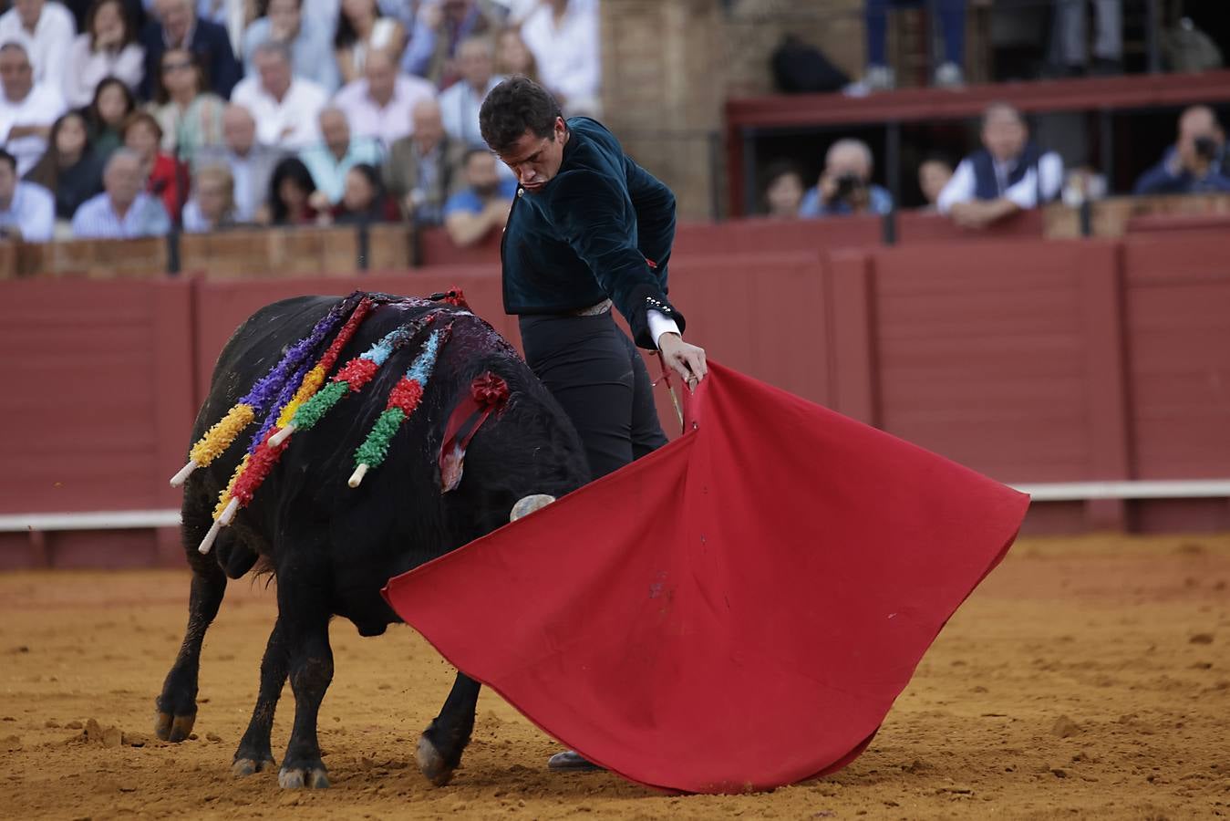 Imágenes del festival taurino a beneficio de Los Gitanos y que ha contado con la presencia de Curro Romero en los tendidos