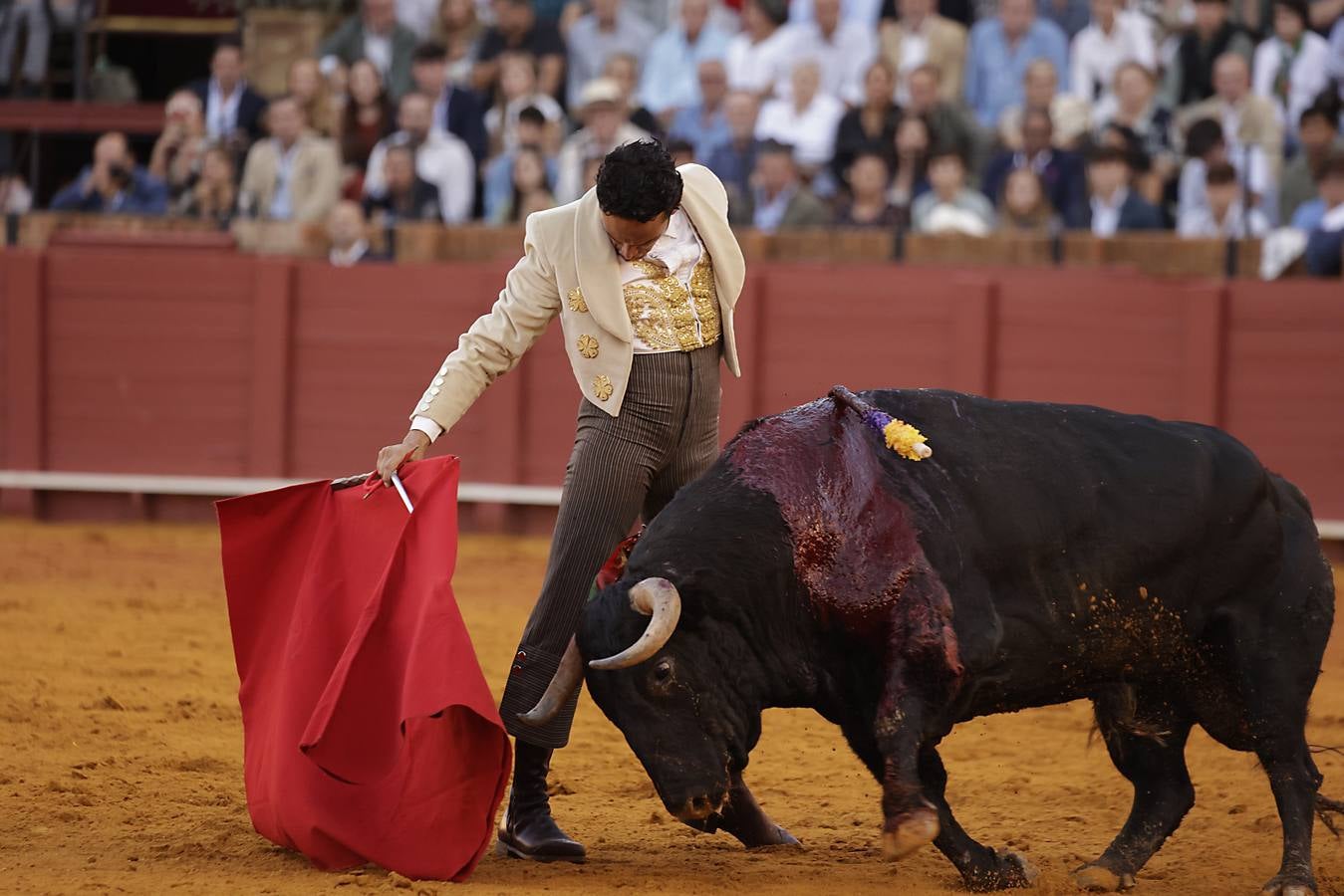 Imágenes del festival taurino a beneficio de Los Gitanos y que ha contado con la presencia de Curro Romero en los tendidos