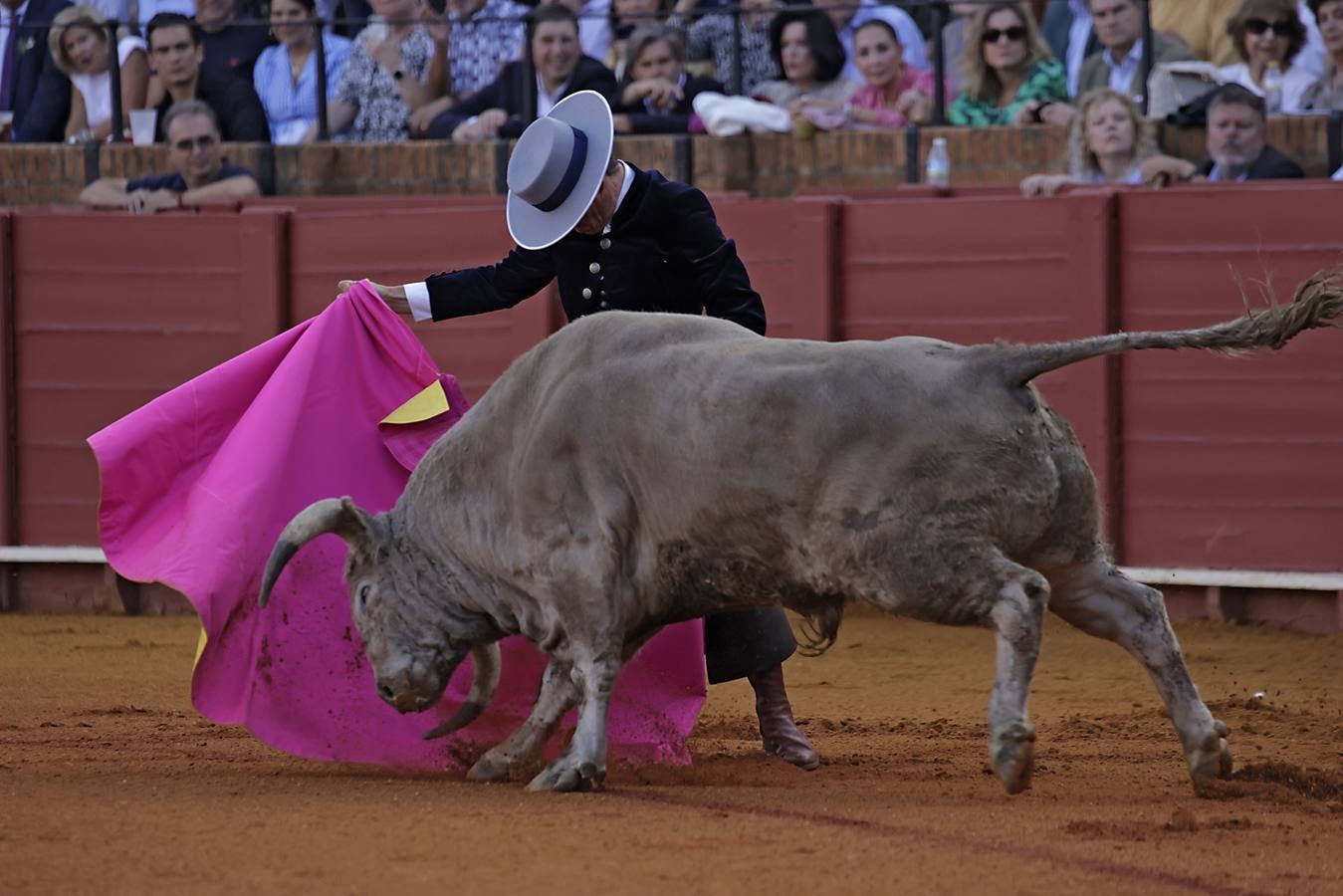 Imágenes del festival taurino a beneficio de Los Gitanos y que ha contado con la presencia de Curro Romero en los tendidos