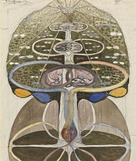 Imagen secundaria 2 - De arriba abajo, 'Paisaje estival (Sommarlandskap)', de 1888; 'Sin título, De la observación de flores y árboles' (1922); y 'El árbol del conocimiento, Serie W. Número 1' (1913)