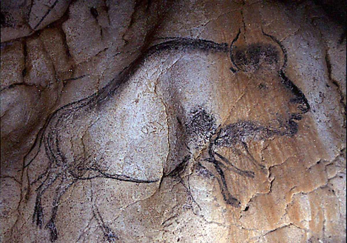 Un bisonte representado en la Cueva de Chauvet