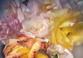 'Roses from my Garden', de Nick Knight Roses en la Fundación Barrié: las nuevas armonías del fotógrafo