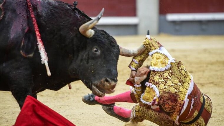 Un instante de la cogida de Roca Rey en Las Ventas