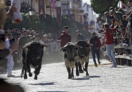 Andalucía es tauromaquia