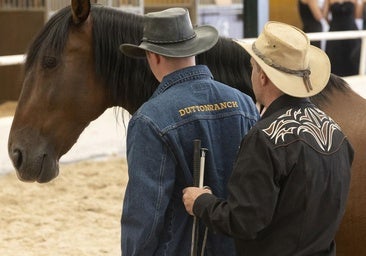 De 'Downton Abbey' a 'Stranger Thongs': series más allá del mando