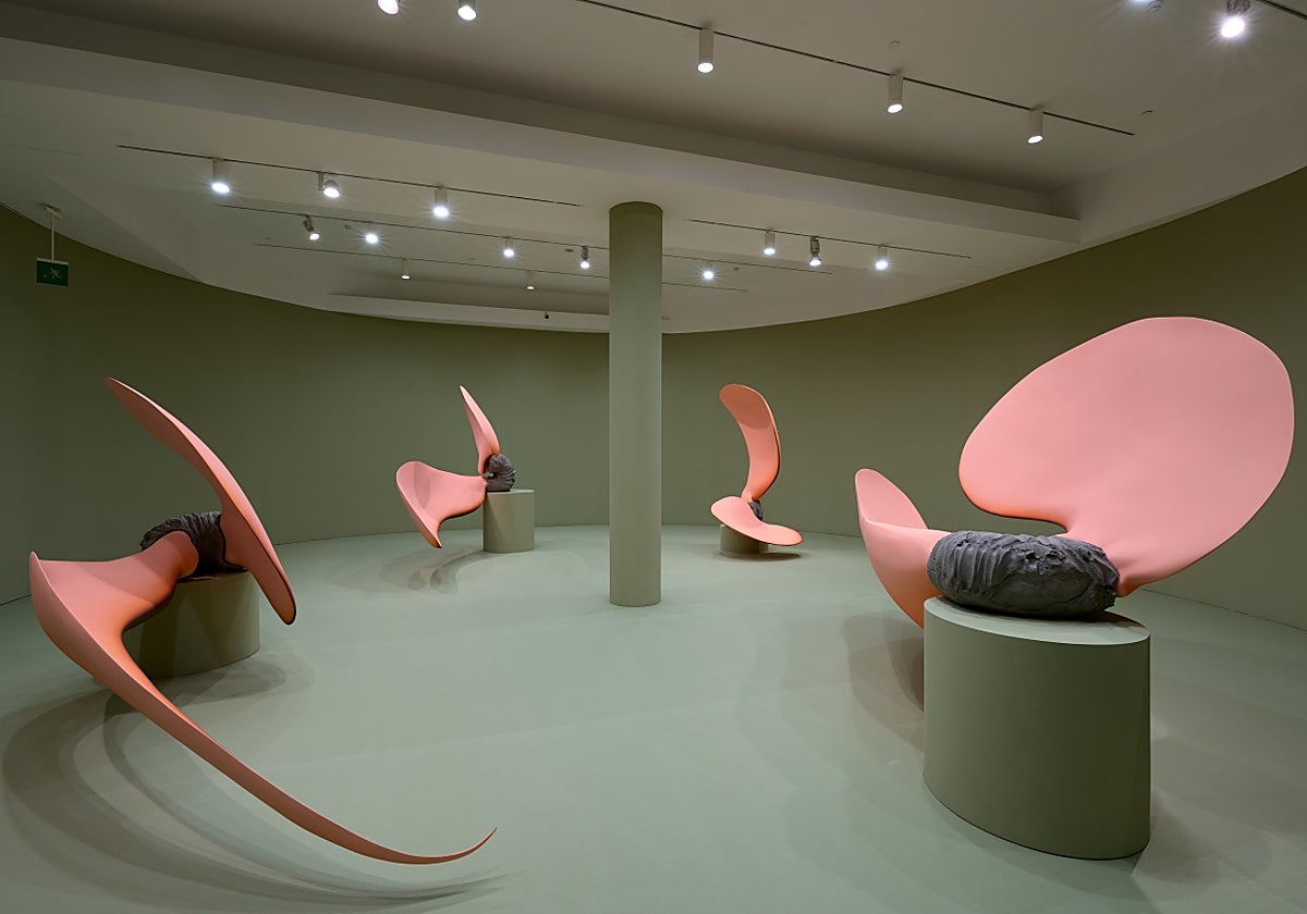 Obras de 'Sueño máquina de pájaro' en el MACBA