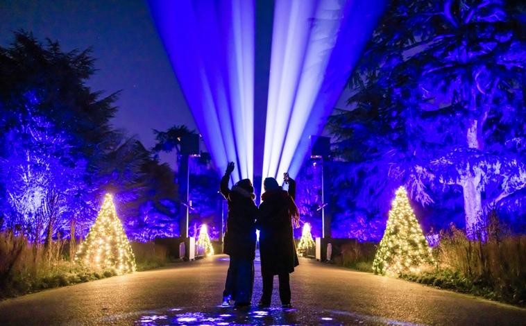 Imagen principal - Juegos de luces y paseos interactivos dentro del Real Jardín Botánico de Kew