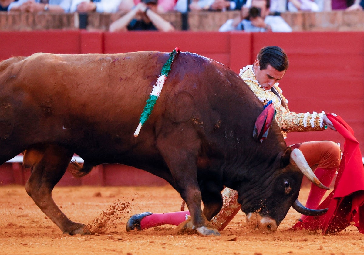 La faena de Juan Ortega a Florentino ha recibido todos los premios