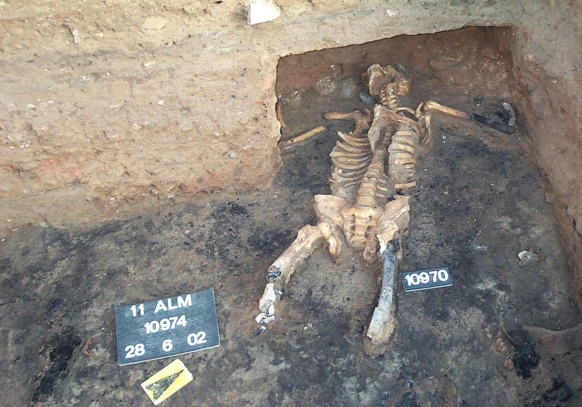 Restos hallados en Valencia de un joven a quien amputaron las extremidades en vida durante la guerra de Sertorio