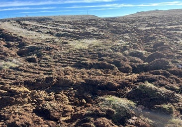 Arrasan con maquinaria pesada un conocido campamento romano de las Guerras Cántabras en Palencia