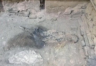 Resuelven el misterio del cerebro vitrificado de una víctima de la erupción del Vesubio