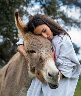 Imagen secundaria 2 - En estas imágenes se puede ver a María José Llergó con su perro, Torrezno, y su burro, Manolillo