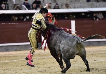 Grave cornada en Las Ventas: Damián Castaño paga con sangre su honestidad total