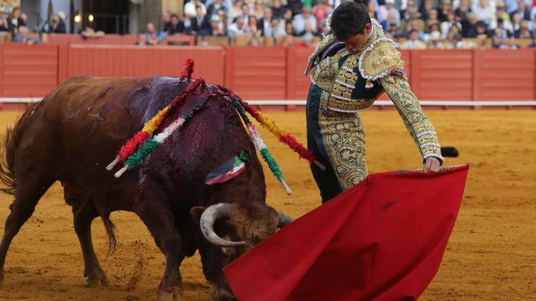 Daniel Luque redondeó grandes momentos al natural con el tercero de Núñez del Cuvillo