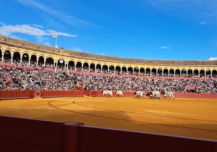Presidente de portátil