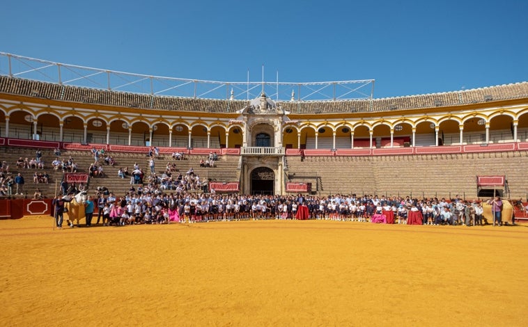Imagen principal - Momentos de las jornadas de puertas abiertas para escolares en la Maestranza de Sevilla
