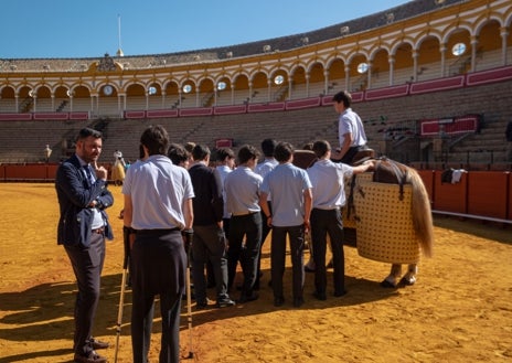 Imagen secundaria 1 - Momentos de las jornadas de puertas abiertas para escolares en la Maestranza de Sevilla