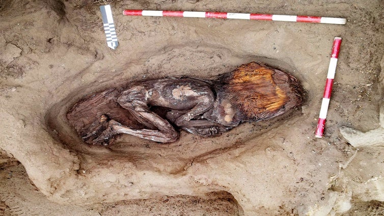 Descubren en Perú la momia de una mujer de la élite de la civilización más antigua de América