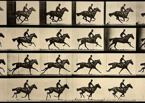Imagen secundaria 1 - En las imágenes, algunos de los experimentos de Muybridge recogidos en su exposición en el Museo Universidad de Navarra