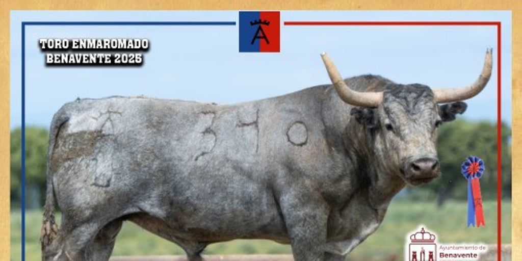 Galocho, el toro enmaromado de Victorino pedido el lunes que España se fundía a negro