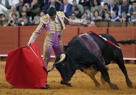 Alcurrucén rinde culto a la hechura y la clase: elogio del toro bravo en la Maestranza