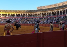 Alcurrucén vuelve a una Maestranza necesitada de contenidos: así son los seis toros de esta tarde