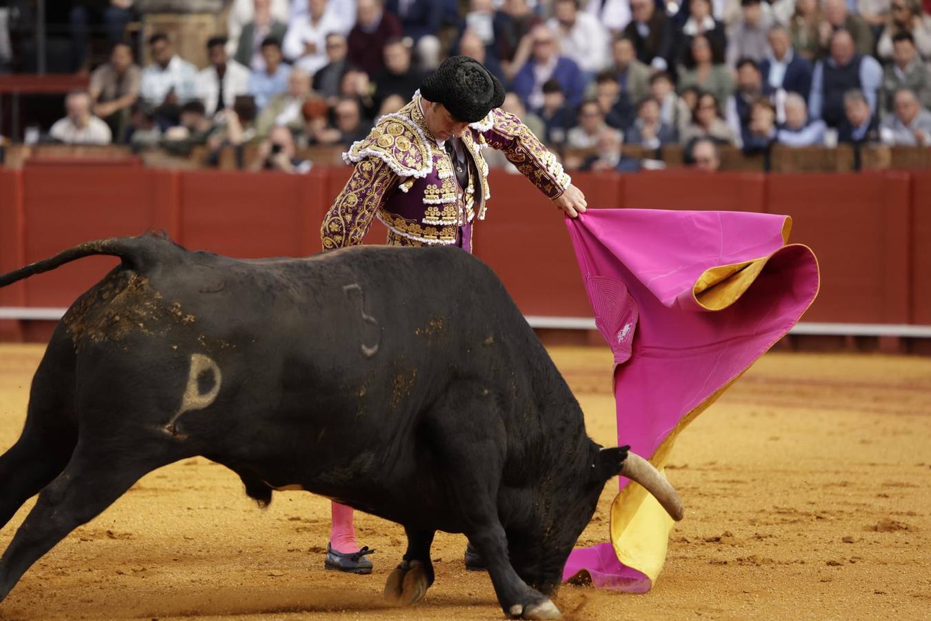El Fandi, con los toros de Alcurrucén que le tocaron en suerte