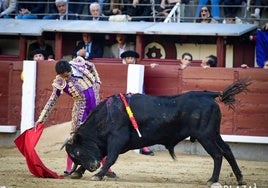 México sigue sacando toreros: Juan Pablo Ibarra, ganador del Camino hacia Las Ventas
