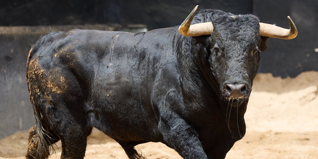 Vuelven los toros de Santiago Domecq, el gran triunfador del 2024 en la Maestranza